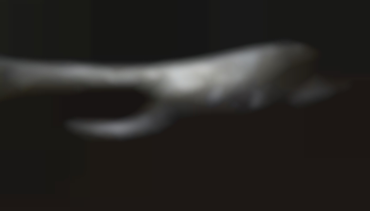 Comment choisir la bonne accompagnatrice pour une expérience unique ?